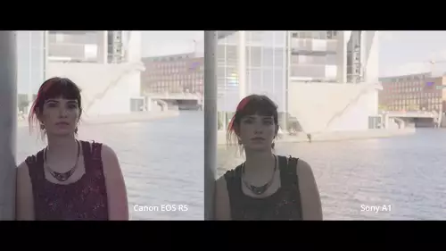 Vergleich: Sony A1 vs Canon EOS R5 in der Praxis - welche Highend Video-DSLM wofür? : HDRMotiv2
