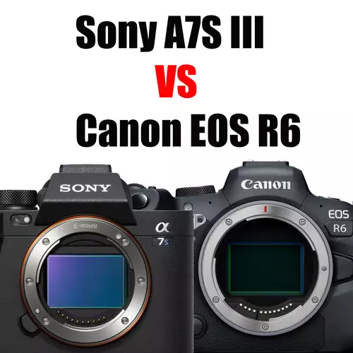 Sony A7S III vs Canon EOS R6 Vergleich: Autofokus mit f1.8 offener Blende beim Interview : SonyA7SIIIvsCanonEOSR6