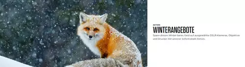 Winter Rabatt-Aktionen und Cashbacks von Canon, Fujifilm, Panasonic, Sony und Nikon : canon