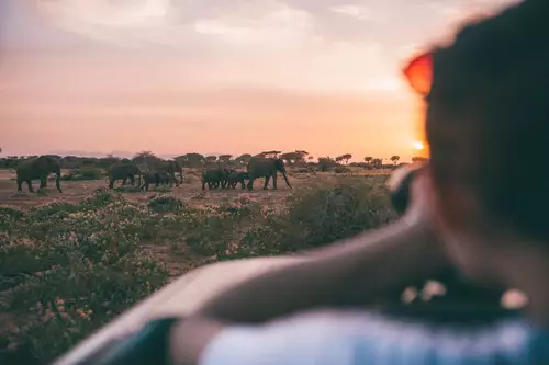  Leaving the Frame - wie aus einer Weltreise ein selbstfinanzierter Kinofilm entstand (gedreht mit der GH5) : safari