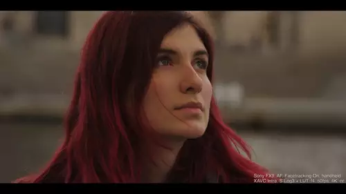 Sony FX9 in der Praxis - Teil 2: Hauttöne, Bildeindruck, S-Cinetone, S-Log 3 u.a. : sonyfx9slog3 LUTcc