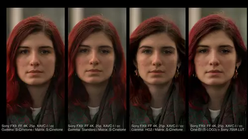 Sony FX9 in der Praxis - Teil 2: Hauttöne, Bildeindruck, S-Cinetone, S-Log 3 u.a. : SonyFX9 Splitscreen CC