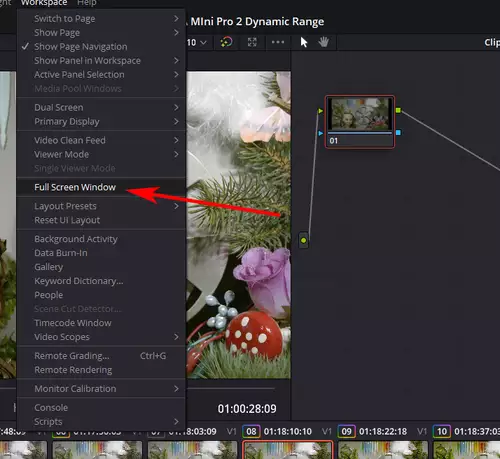 Wenig bekannte Workflow-Tricks für Blackmagic DaVinci Resolve : Fullscreen