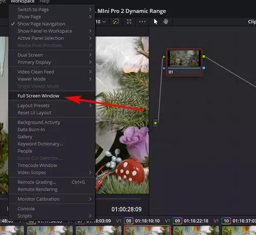 Wenig bekannte Workflow-Tricks fr Blackmagic DaVinci Resolve : Fullscreen