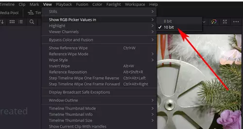Wenig bekannte Workflow-Tricks für Blackmagic DaVinci Resolve : 10Bit