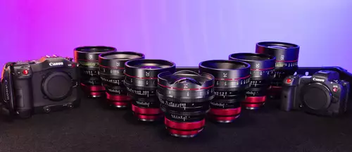 Canon RF Primes
