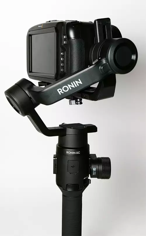 Funktioniert der DJI Ronin SC mit Blackmagic Pocket Cinema Camera 4K und Panasonic S1? : DJI RoninSC Panasonic S1 back