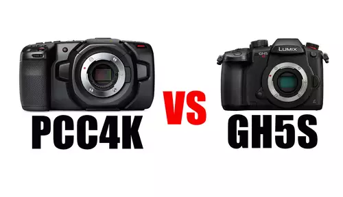 Dynamikumfang: RAW vs LOG: Blackmagic Pocket Cinema Camera 4K vs Panasonic GH5S  : Gh5SvsPCCK4K