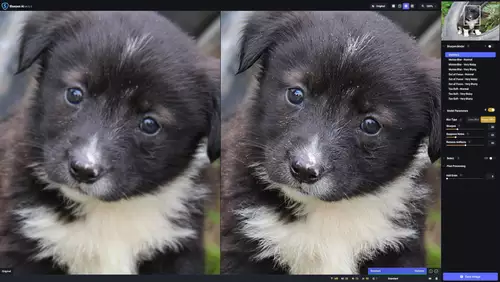 Topaz Labs Sharpen AI 4.0.2