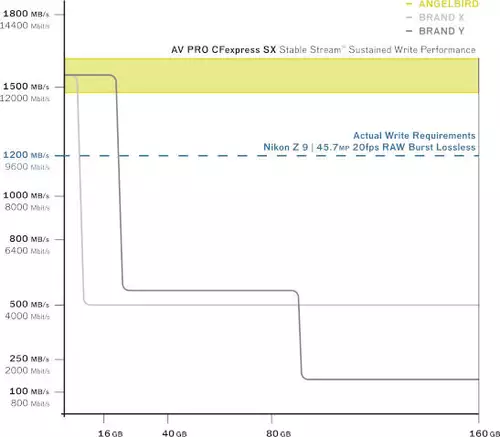 Angelbird 160 GB AV PRO SX und Nikon Z9 45.7 Megapixel RAW Burst Losless 