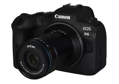 Laowa 85mm f/5.6 2x Ultra Macro APO with Canon R6