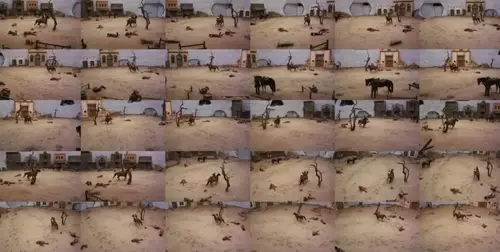 Videometric dome with many cameras 