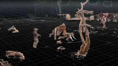 Recordings of the different cameras 