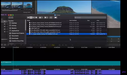 Avid Media Composer 2021.3, neues IMF Fenster 