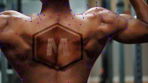 PowerMesh Tracking in Mocha Pro 2021 