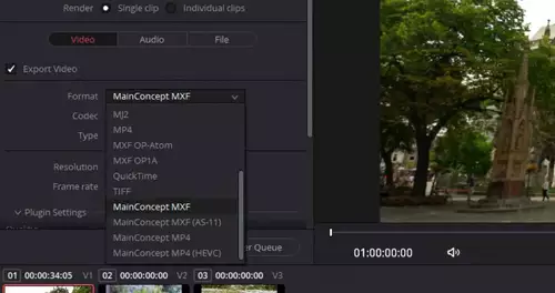 Mainconcept Codec-Plugin fr DaVinci Resolve 