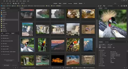 Adobe Bridge