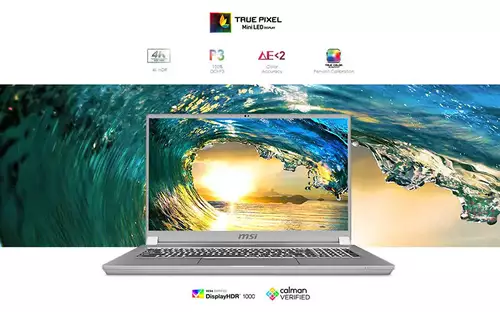 MSI WS66 Display
