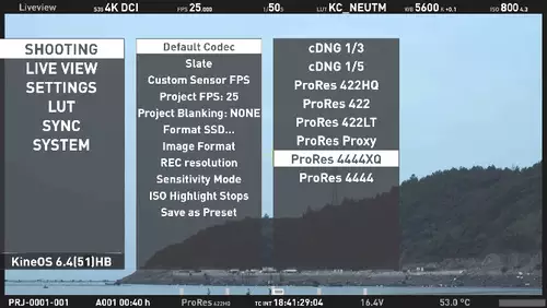 ProRes4444 and 4444XQ - New recording options for Terra 4K 