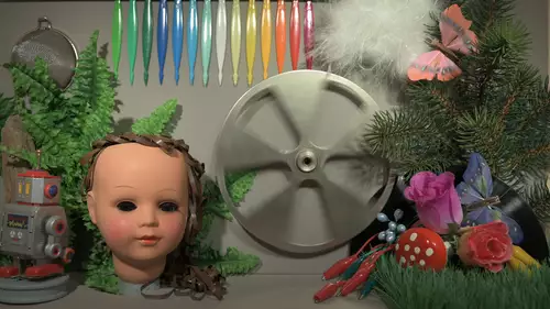 Die Nikon Z6 im Flat Profil bei neutraler Nachschrfung mit 1200 LUX.