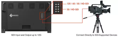 Eizo Coloredge Prominence CG3146 SDI-Ports