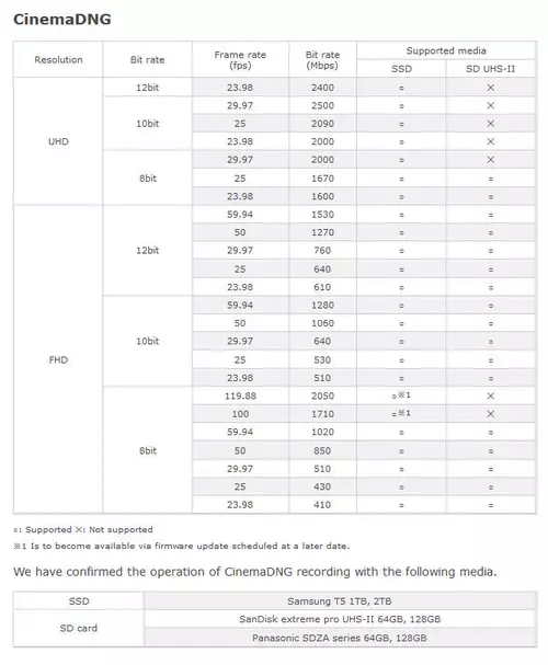 Support for recording in CinemaDNG