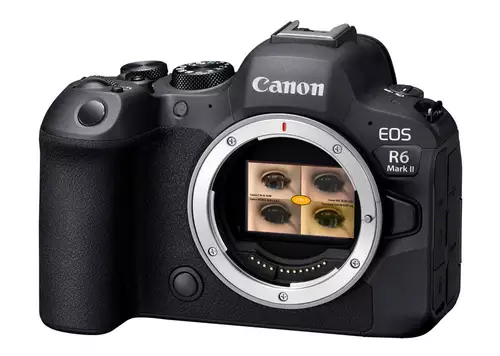 Die Canon EOS R6 Mark II hat viel Cine-DNA