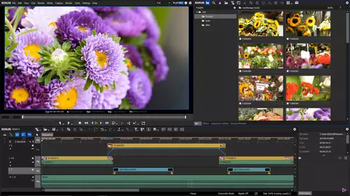 Grass Valley EDIUS 9