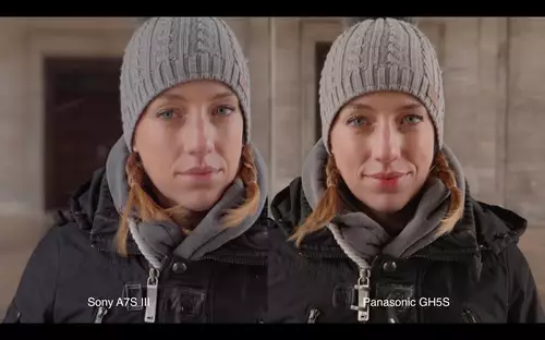 Sony A7 III - Autofokus, Hauttne, Lowlight uvm. : SonyA7III Gh5S Gimbal