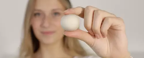 GekkoGum