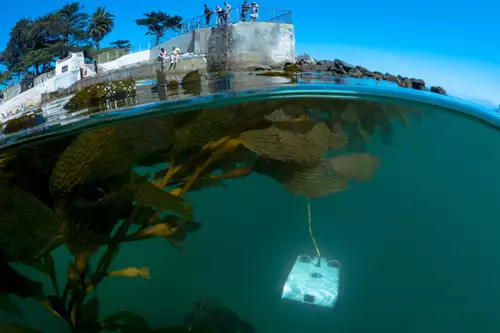 Aus der Sicht der Drohne