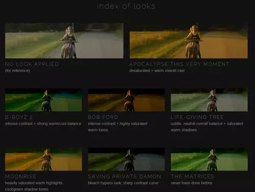 SmallHD Filmlooks