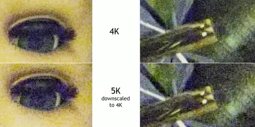 Die GH5 in 4K und 5K Vergleich