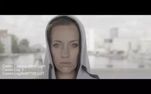 Canon EOS C200 - Skintones, Cinema RAW Light, 60p, Dual Pixel AF : CanonC200RicardaLog3BT709LUT