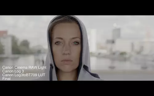 Canon EOS C200 - Skintones, Cinema RAW Light, 60p, Dual Pixel AF : CanonC200Skintone Final