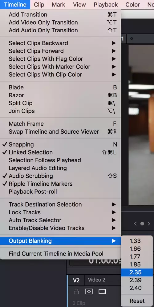 Schneller Breitbild Filmlook via 2.35:1 Cache in DaVinci Resolve : BildOutputBlankingMenue