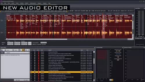 Edius 11 Audio Editor