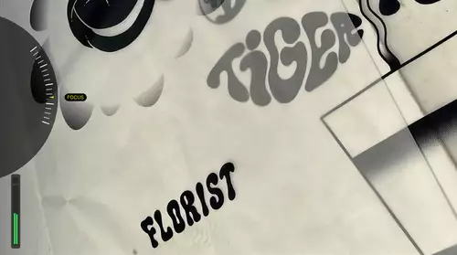 Audio level during video recording 