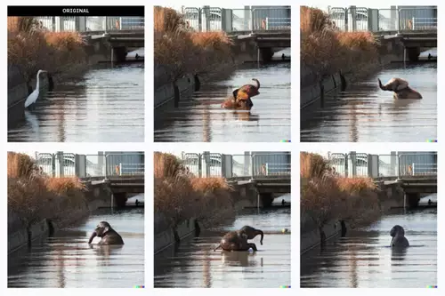 The heron in the image is replaced by an elephant - including correct reflection in the water