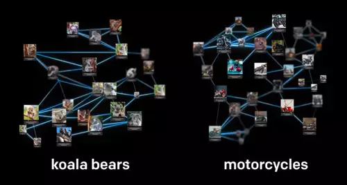 Bilder von Koalas und Motorrdern 