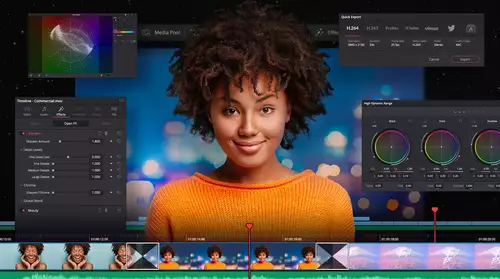 Blackmagic Design DaVinci Resolve Version 17.4.6       