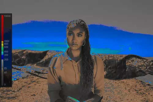Canon DP-V1830 false color mode.