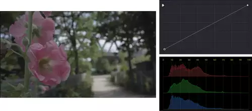 Farbkorrektur -- Heller, aber wie bitte? : basis