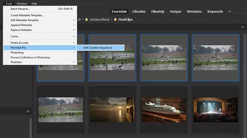 Adobe Bridge Sequenz in Premiere 