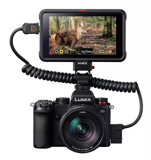 Lumix S5 mit Atomos Ninja V 