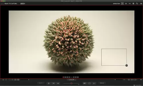 Manual Focus Peaking via USB in Dragonframe
