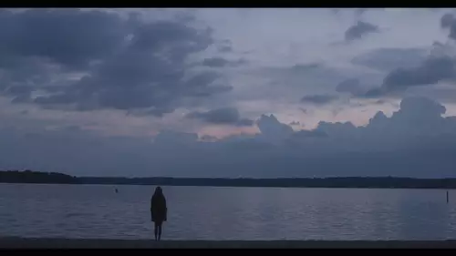 Panasonic VariCam LT : Intro