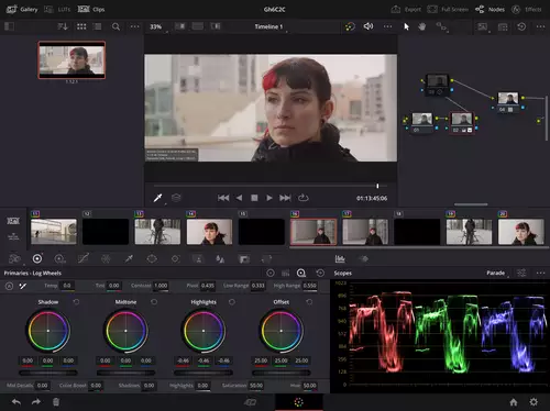 Blackmagic DaVinci Resolve für iPad Pro: Ultramobiler Videoschnitt mit Farbkorrektur : ResolveCOloriPad