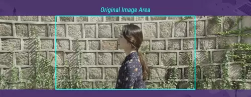 Extra-wide extrapolated image from multiple Video frames