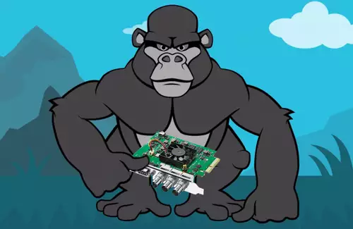 DeckLink und Ultrastudio ermöglichen Live-Keying mit Adobe Character Animator